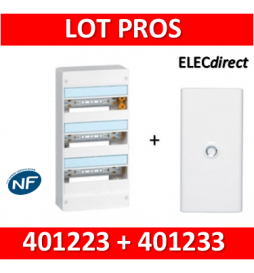 Legrand - LOT PROS - Coffret DRIVIA 54 Modules + porte - largeur 355mm - 401223+401233