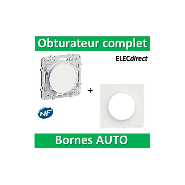 Schneider Odace - Obturateur blanc à vis Complet - Réf : S520666+ S520702 -  ELECdirect Vente Matériel Électrique
