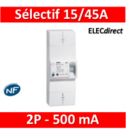 Legrand - Disjoncteur de branchement EDF 15/45A sélectif - 500mA - bipolaire - Réf.: 401003
