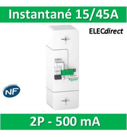 Schneider - Disjoncteur de branchement EDF 15/30/45A instantané - 500mA - bipolaire - R9FT645