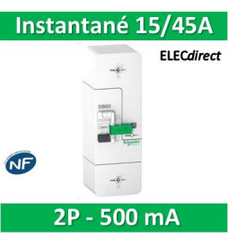 Schneider - Disjoncteur de branchement EDF 15/30/45A instantané - 500mA - bipolaire - Réf : R9FT645