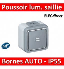 Legrand Plexo - Bouton poussoir lumineux 10A - 230V - IP55/IK07 - 069722