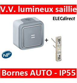 Legrand Plexo - Va-et-Vient à voyant lumineux 10A - 230V - IP55/IK07 - 069713