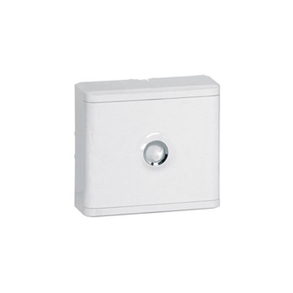 Legrand - Habillage + porte pour platine de branchement - Réf : 401185