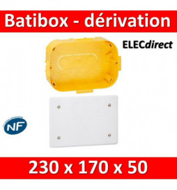 Legrand Batibox - Boîte pour dérivation 230x170x50 - 089375