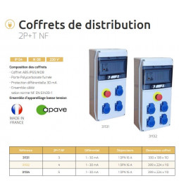 Digital - Coffret de Chantier 4 prises 2P+T + arrêt d'urgence - Réf : 31132