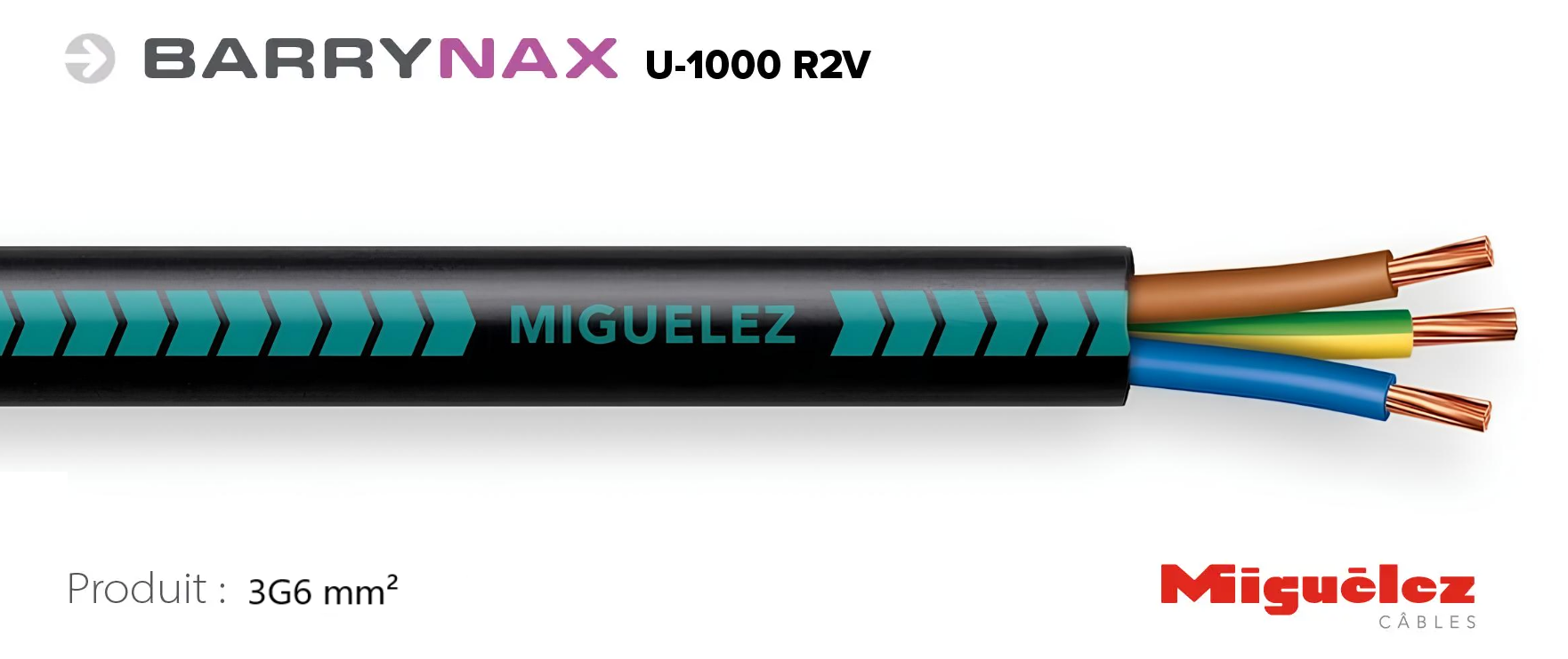 3G6C10(1).png