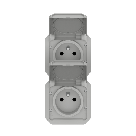 Plexo - double prise de courant précâblée 2x2P+T verticale étanche - 16A 250V - finition gris - Réf : 069563L - Vue de face