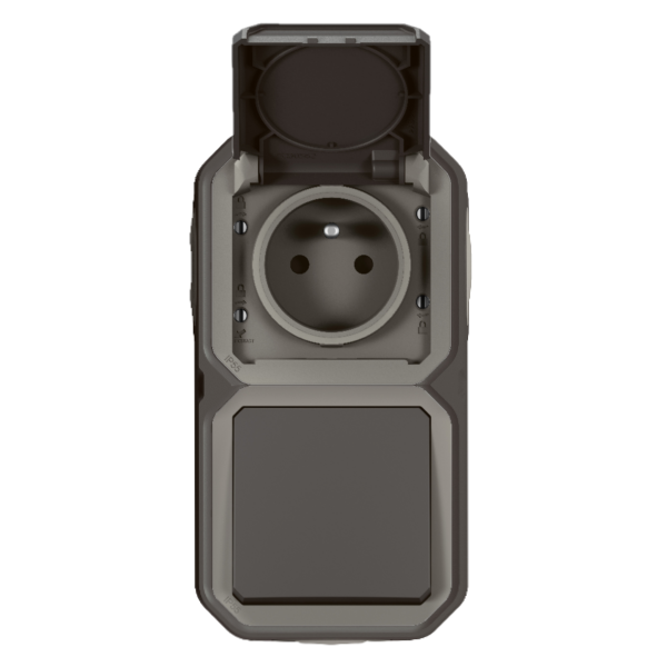 Legrand - Plexo L - Prise de courant + Interrupteur - Saillie - Anthracite - IP55/IK08 - Réf : 070067