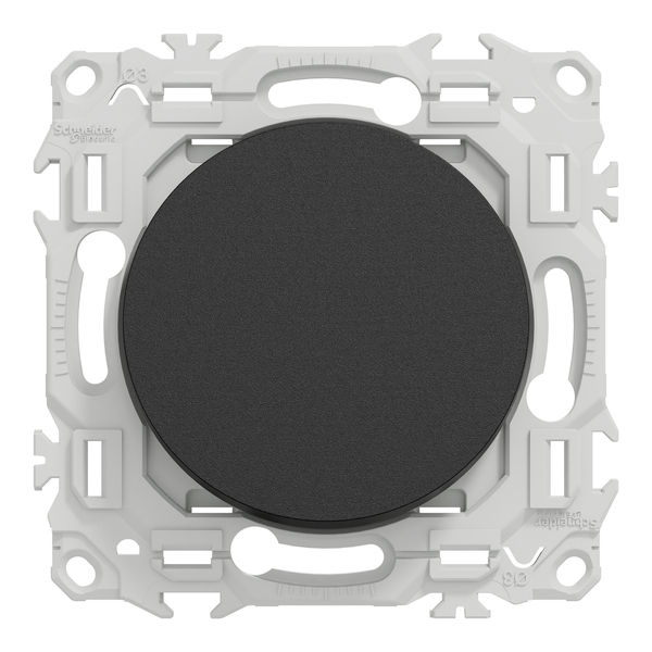 Schneider - Odace 2025 - LOT de 10 Va et Vient ou Poussoir - 10AX - Noir onyx - Réf : S940204 x 10 - Vue de face