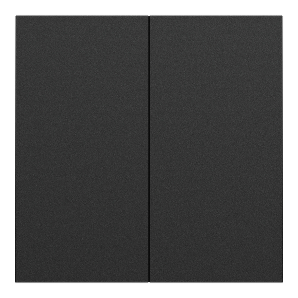 Schneider - Odace Intégral 2025 - LOT de 10 Enjoliveur/plaque double va et vient ou poussoir - Noir onyx - Réf : S949222 x 10 - Vue de face